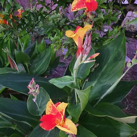 Corte Dei Giorgi Nyaraló *